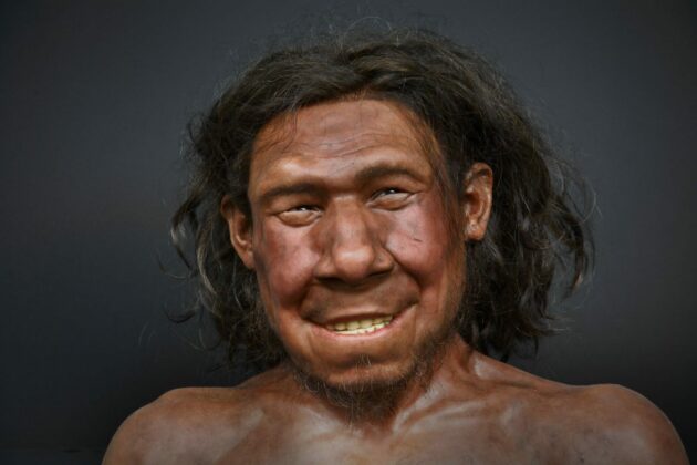 K_Neanderthaler Krijn